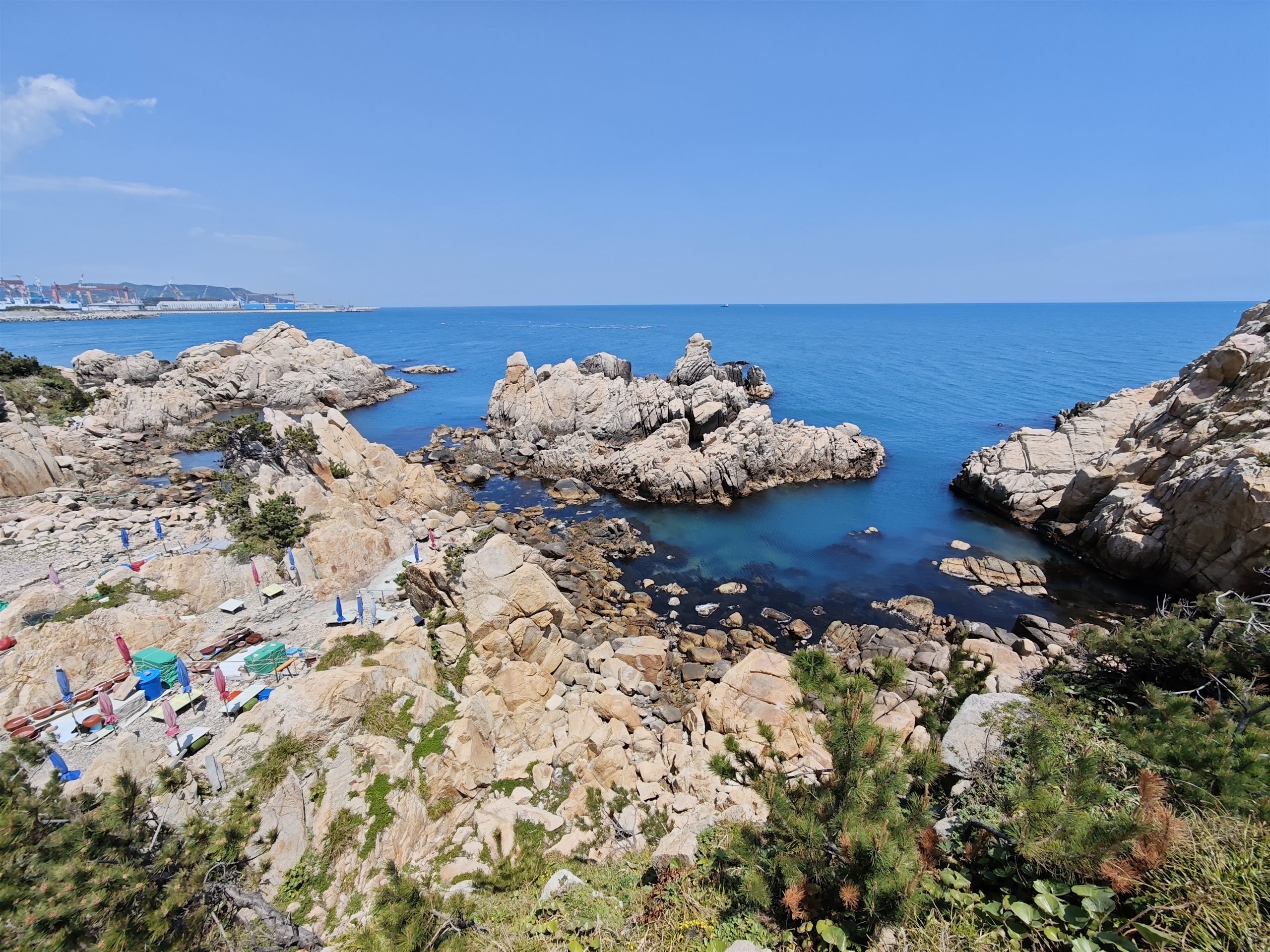 高处俯瞰公园与海岸绿带构成的地景。